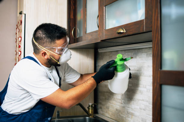 Best Residential Pest Control  in Heathcote, NJ