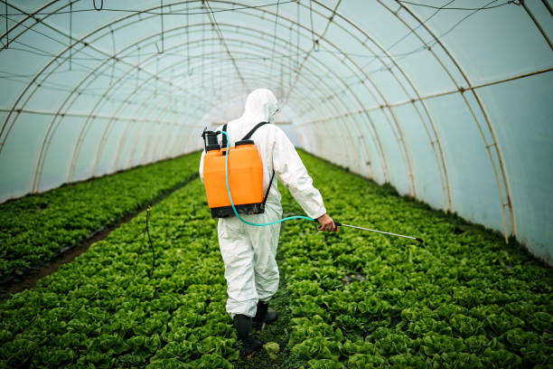 Best Local Pest Control Services  in Heathcote, NJ
