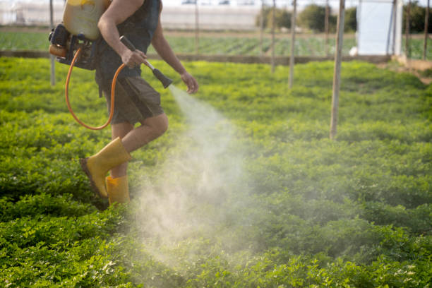 Best Pest Inspection Near Me  in Heathcote, NJ