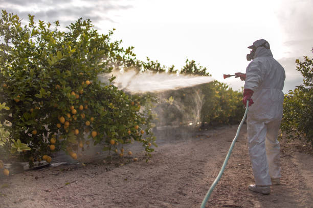 Best Cockroach Control Services  in Heathcote, NJ