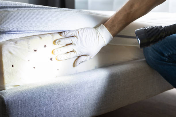  Heathcote, NJ Pest Control Pros