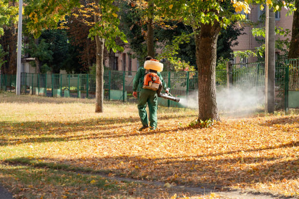 Best Flea Control Services  in Heathcote, NJ