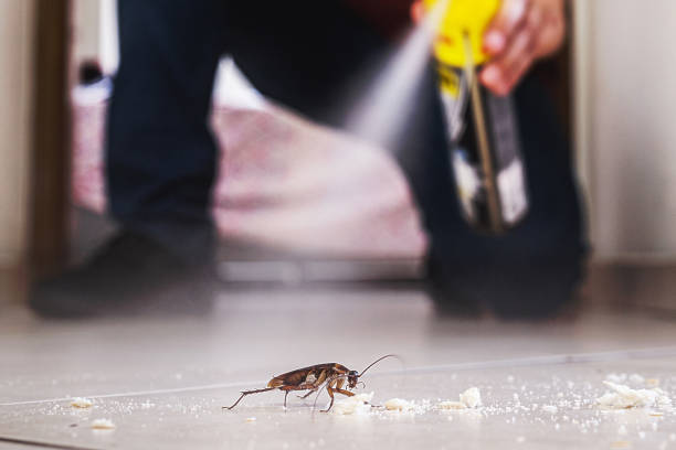 Best Cockroach Control Services  in Heathcote, NJ