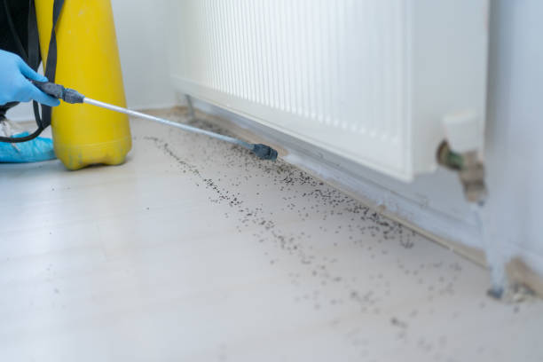 Best Spider Control Near Me  in Heathcote, NJ