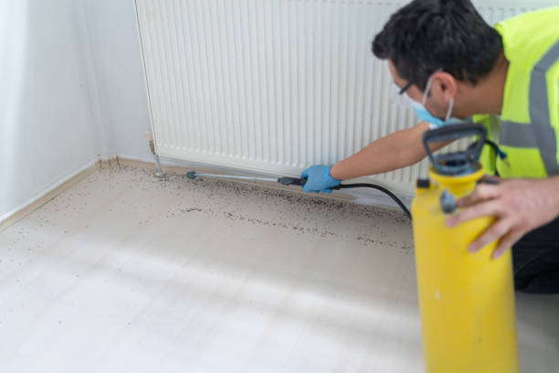 Best Best Pest Control Companies  in Heathcote, NJ